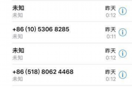 鸠江鸠江的要账公司在催收过程中的策略和技巧有哪些？